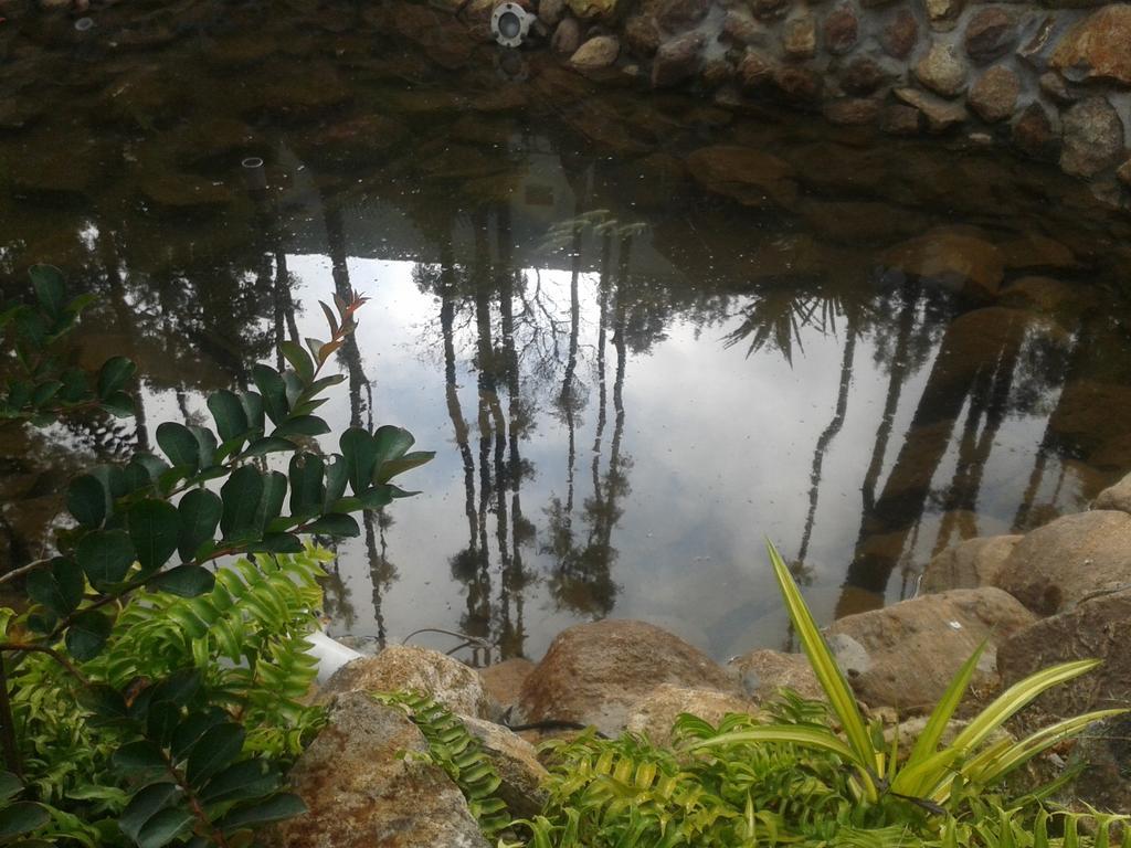 Happy Nest Yercaud Ξενοδοχείο Εξωτερικό φωτογραφία